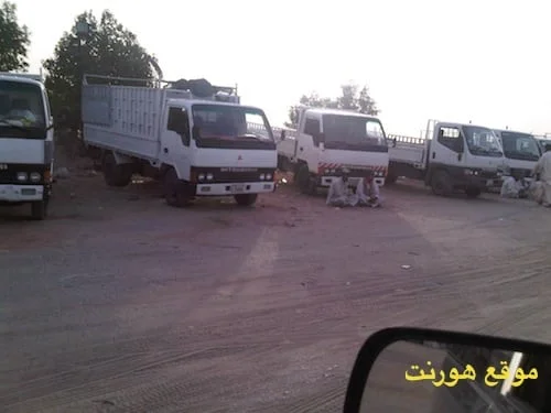 IMG00418 20100601 1730