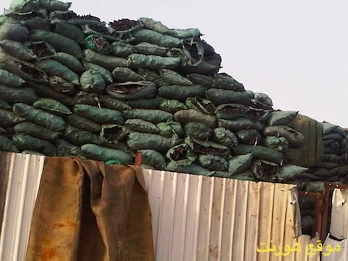 IMG00426 20100601 1733