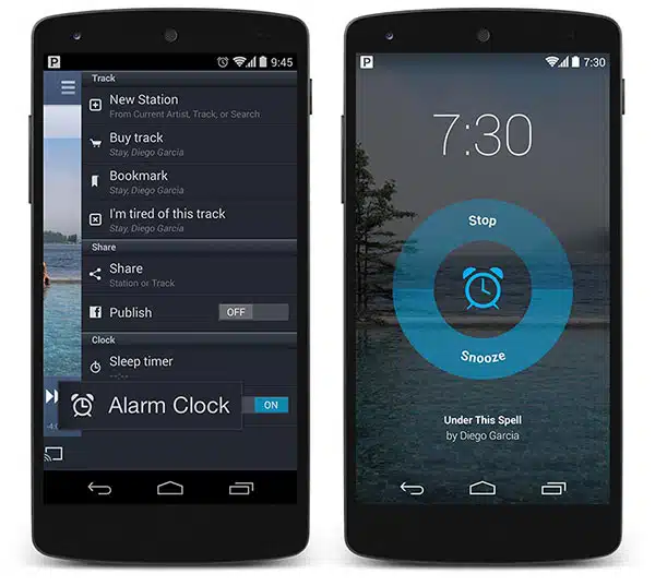 Pandora Alarm