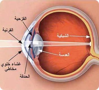 عين الانسان