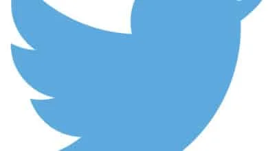 Twitter logo blue