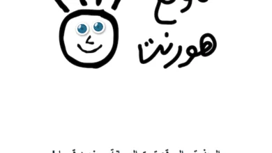 إظهار رسالة جميلة للزائر عند وجود خلل في قاعدة بيانات مدونة وردبريس 3 db error1
