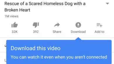 يوتيوب الآن بشكل رسمي يدعم تحميل مقاطع الفيديو 2 dounload from youtube