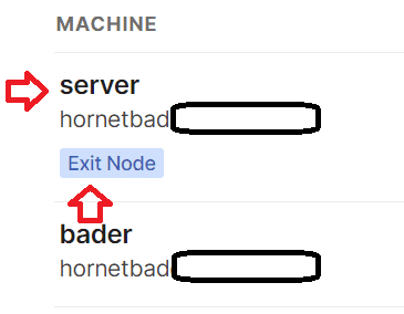 exit node