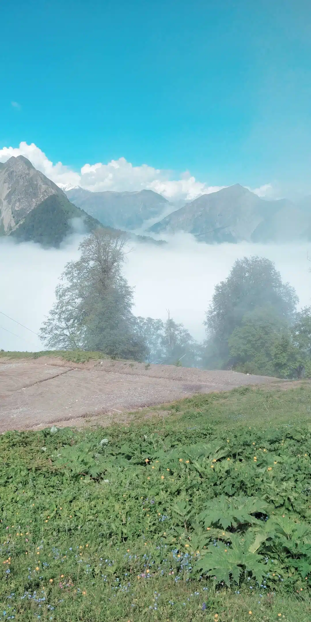 Gabala