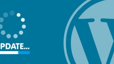 تهيئة المدونة لمحركات البحث من جديد يحتاج الى وقت وتعب 4 update wordpress